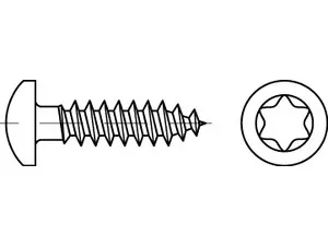 Spanplattenschraube  5,0 x 30 - T25