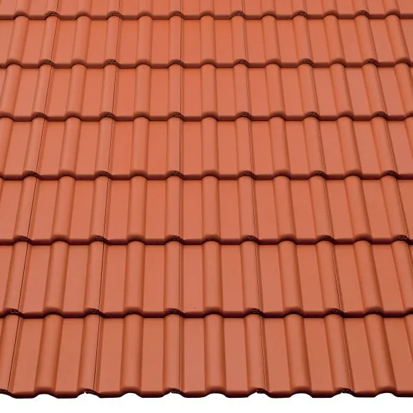 Braas Frankfurter Pfanne Protegon matt