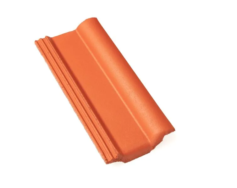 Braas Frankfurter Pfanne Protegon matt