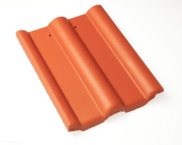 Braas Frankfurter Pfanne Protegon matt