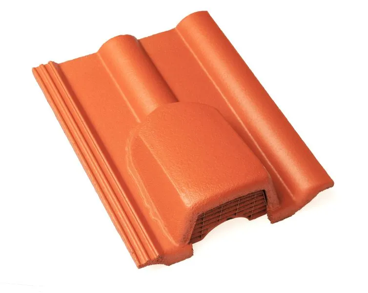 Braas Frankfurter Pfanne Protegon matt