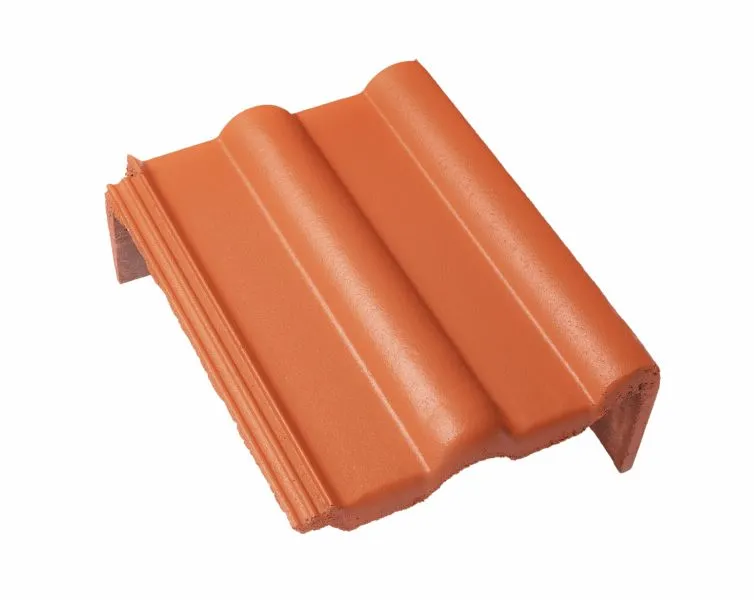 Braas Frankfurter Pfanne Protegon matt