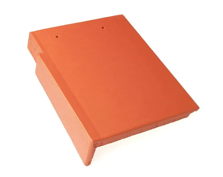 Braas Tegalit Protegon matt