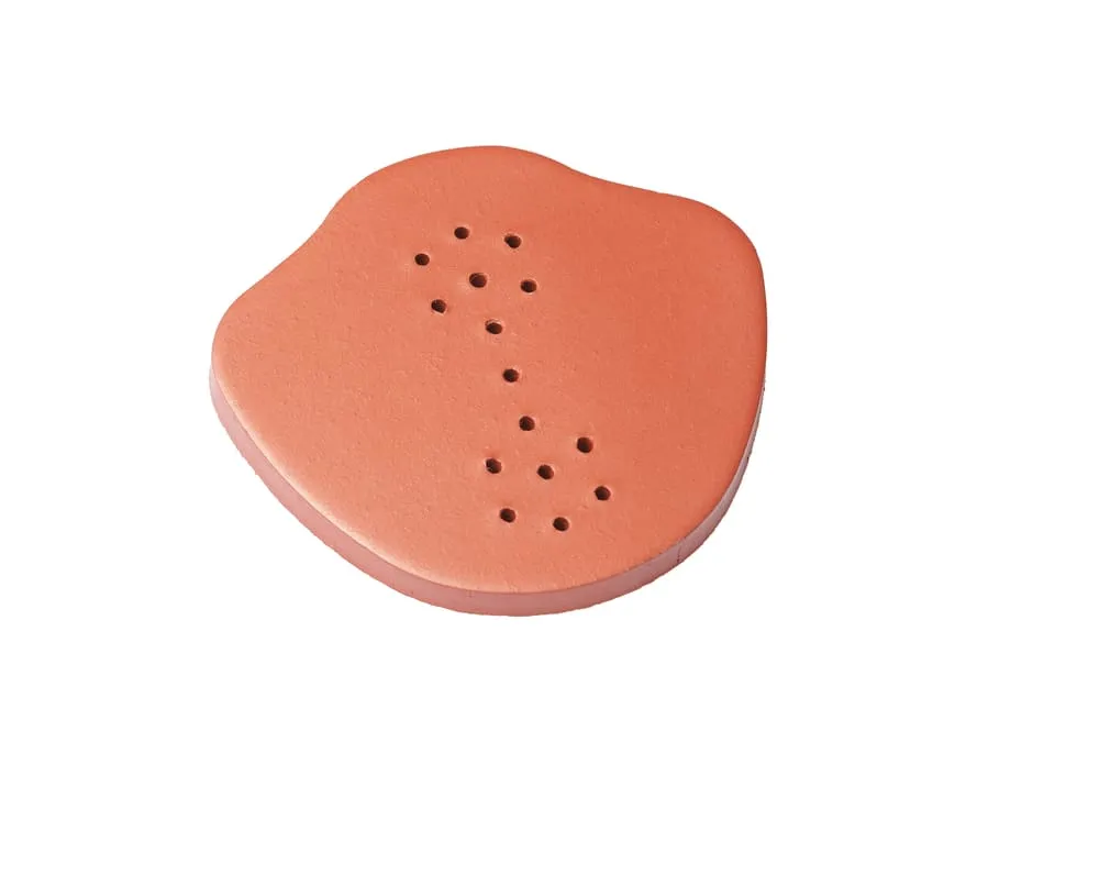 Braas Funktionsscheibe Ton HO