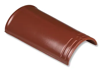 Nelskamp Firstziegel Standard