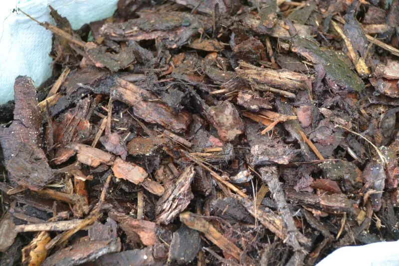Rindenmulch 10/40 grob